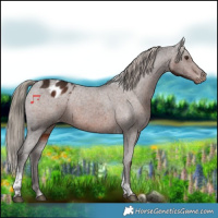 Horse Color:Liver Chestnut Tobiano Varnish 