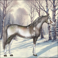 Horse Color:Platinum White Spotted Liver Red Onyx 
