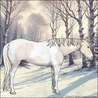Horse Color:Smoky Creme Roan Tobiano Rabicano 