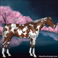 Horse Color:White Spotted Silver Brown