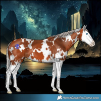 Horse Color:White Spotted Silver Bay Splash 