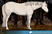 Horse Color:Smoky Creme 
