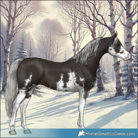 Horse Color:Liver Chestnut Mushroom Sabino 