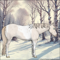 Horse Color:Smoky Creme Roan Tobiano 
