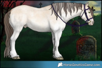 Horse Color:White Spotted Amber Champagne Dun 