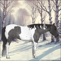 Horse Color:Smoky Blue Roan Tobiano 