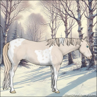 Horse Color:Smoky Creme Tobiano