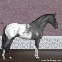 Horse Color:Blue Roan Tobiano Snowcap 