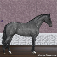 Horse Color:Blue Roan Snowflake Varnish