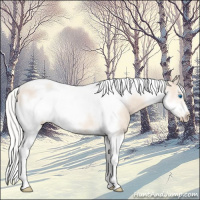 Horse Color:Silver Smoky Creme Tobiano Frame 
