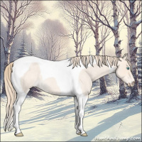 Horse Color:Perlino Roan Tobiano 
