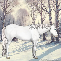 Horse Color:Smoky Creme Roan Tobiano 