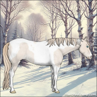 Horse Color:Smoky Creme Roan Tobiano 