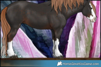 Horse Color:Liver Chestnut Splash 