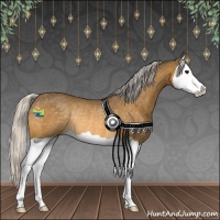 Horse Color:Silver Buckskin Splash Rabicano