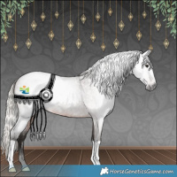 Horse Color:Gray Silver Brown Roan 