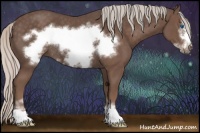 Horse Color:Silver Black Sabino Frame Rabicano