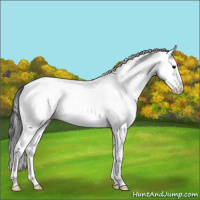 Horse Color:White Spotted Blue Roan Splash Snowcap 