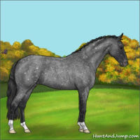 Horse Color:Blue Roan Snowflake Varnish 