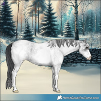 Horse Color:White Spotted Blue Roan 