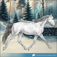 Horse Color:Blue Roan Snowcap 