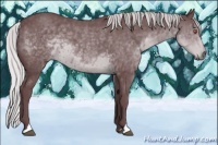 Horse Color:Chocolate Silver Black Chinchilla 