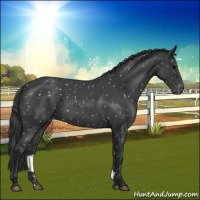 Horse Color:Blue Roan Snowflake Varnish