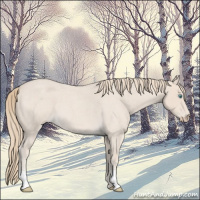 Horse Color:Smoky Creme Roan 