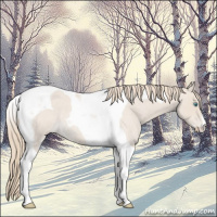 Horse Color:Smoky Creme Roan Tobiano 