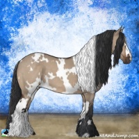 Horse Color:White Spotted Brown Dun 