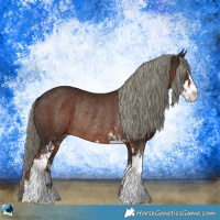 Horse Color:Liver Chestnut Mushroom Sabino Rabicano 