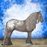 Horse Color:Silver Black Ice Rabicano