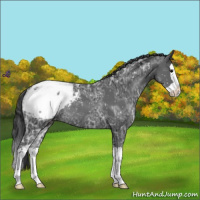 Horse Color:Black Ice Splash Appaloosa Rabicano 
