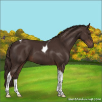 Horse Color:Liver Chestnut Tobiano 
