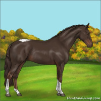 Horse Color:Liver Chestnut Tobiano Rabicano 