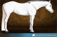 Horse Color:Red Dun Splash Tobiano Varnish 
