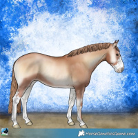 Horse Color:Red Onyx Pearl Sabino Rabicano