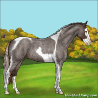 Horse Color:Liver Red Roan Splash Tobiano