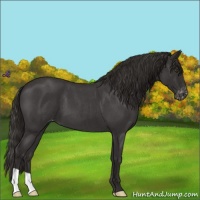 Horse Color:Liver Red Roan Varnish 