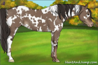 Horse Color:White Spotted Liver Red Dun Blanket