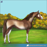 Horse Color:Red Onyx 