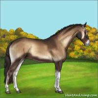 Horse Color:Liver Red Onyx 