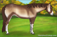 Horse Color:Red Onyx 