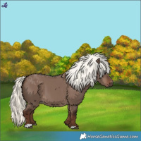 Horse Color:Liver Red Dun Mushroom 