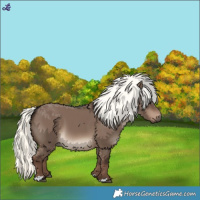 Horse Color:Liver Red Dun Mushroom 