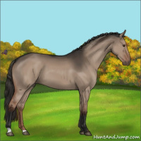 Horse Color:Liver Red Dun 