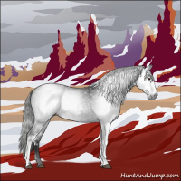 Horse Color:Gray White Spotted Liver Chestnut 