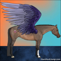 Horse Color:Brown Dun 