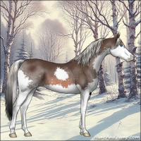 Horse Color:Liver Chestnut Mushroom Splash 