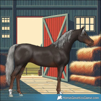 Horse Color:Liver Chestnut Mushroom 